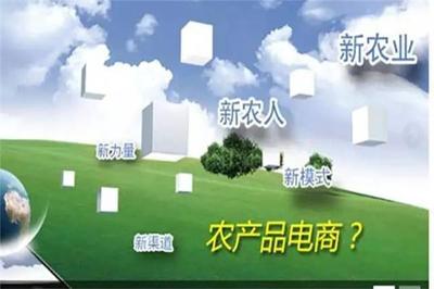 加快農業信息化建設，拓展農產品營銷新渠道