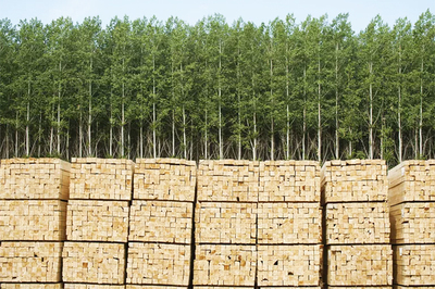 多用途管理 林業與土地資源的協同可持續之道