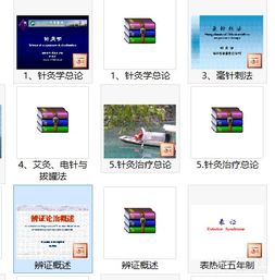 中醫智慧，本草華章 最新中醫學與中藥學精品課件資源概覽